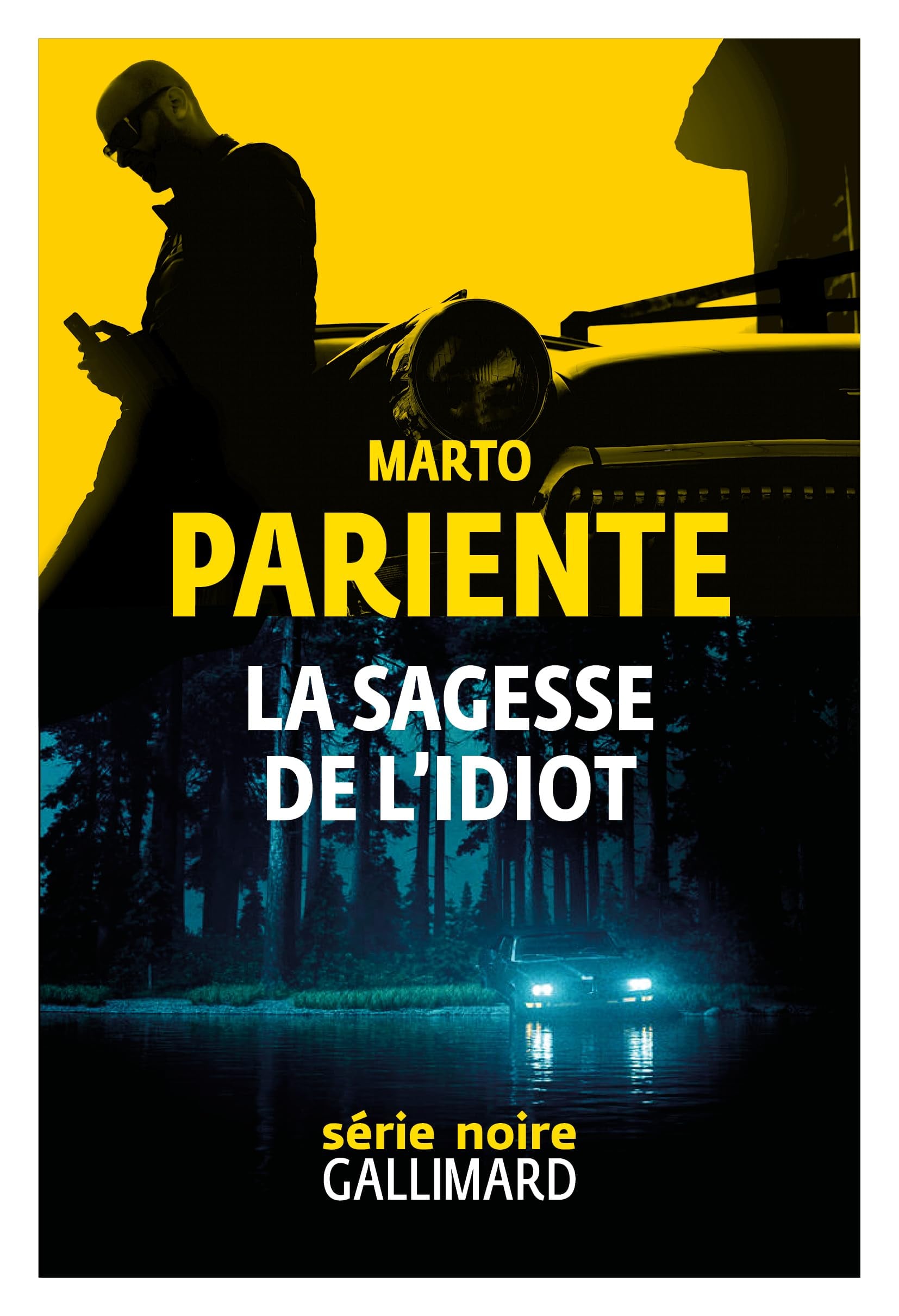 La sagesse de l'idiot - Cover