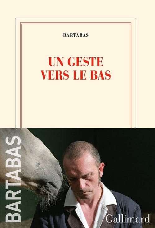 Un geste vers le bas - Cover