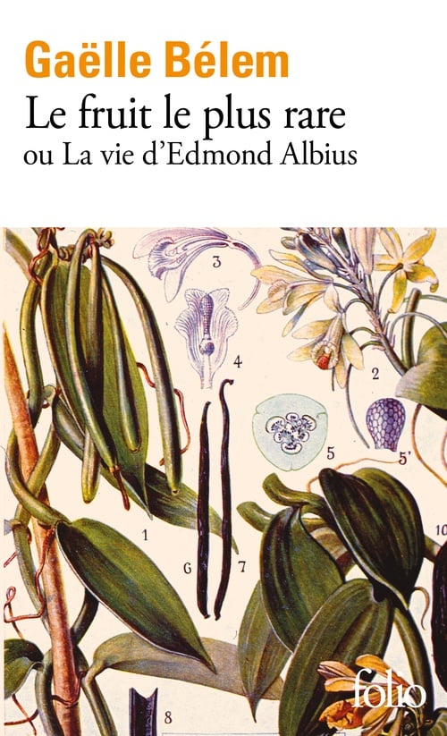 Le fruit le plus rare ou la vie d'Edmond Albius - Cover