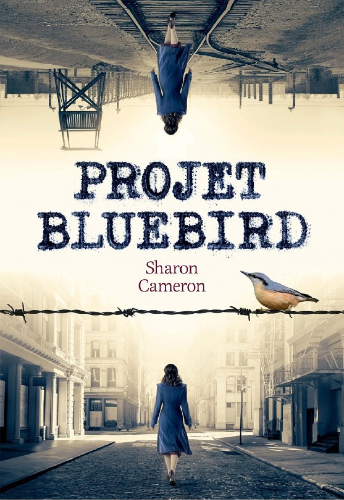 Projet Bluebird - Cover