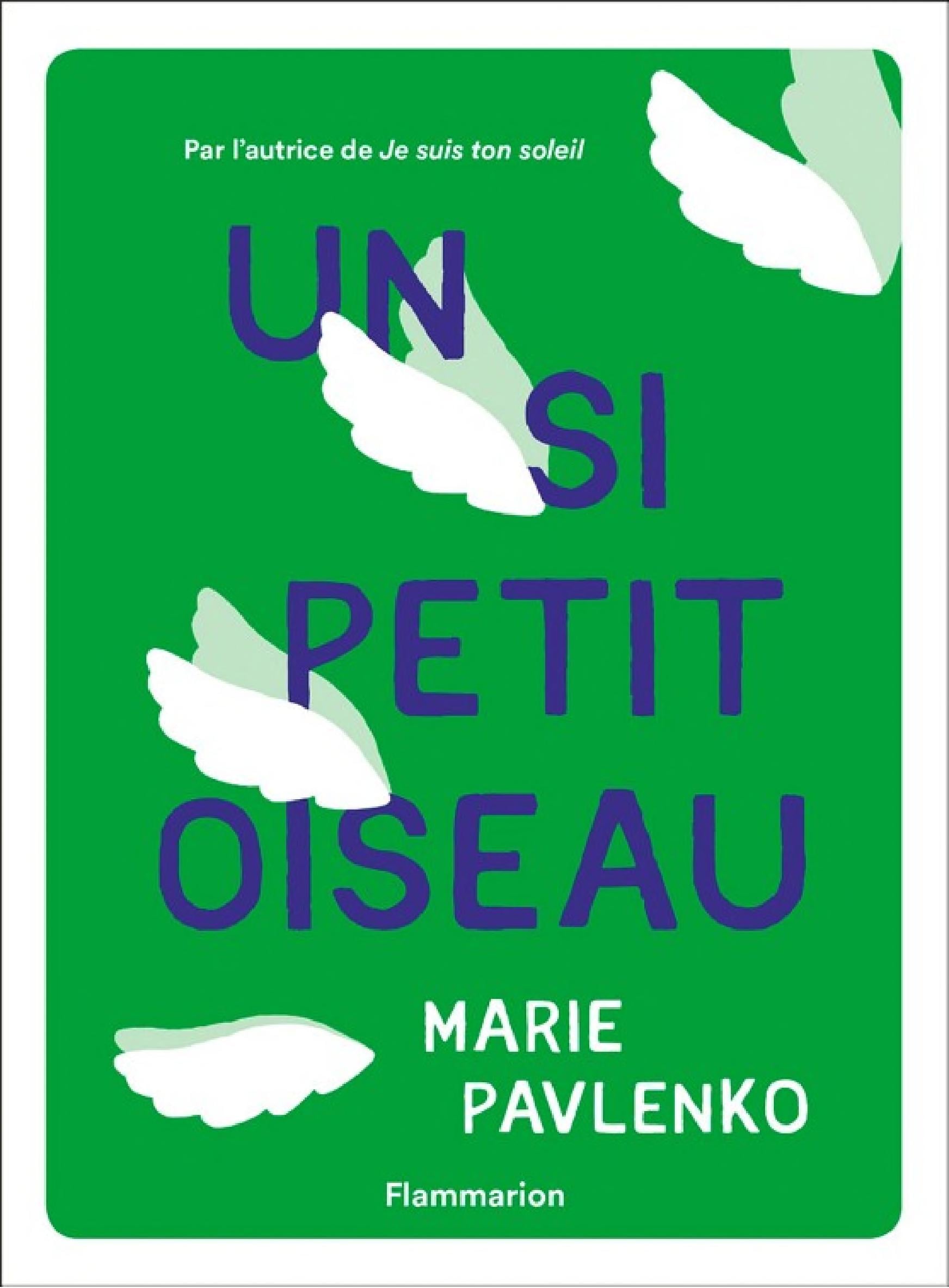 Un si petit oiseau - Cover