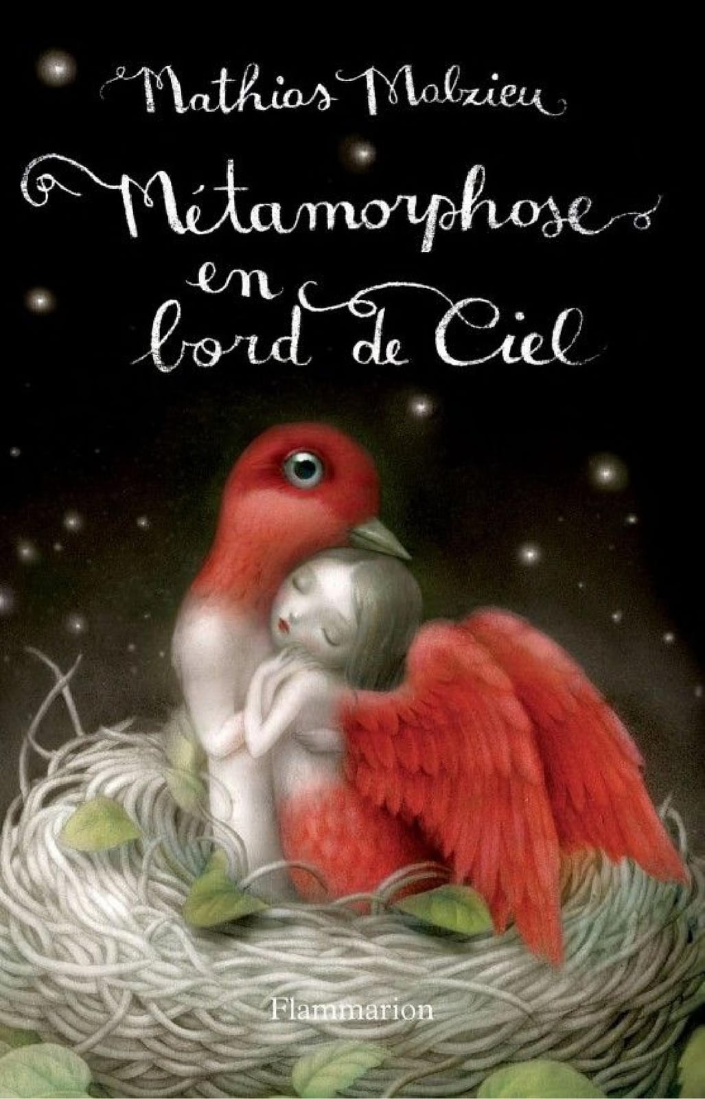 Métamorphose en bord de ciel - Cover