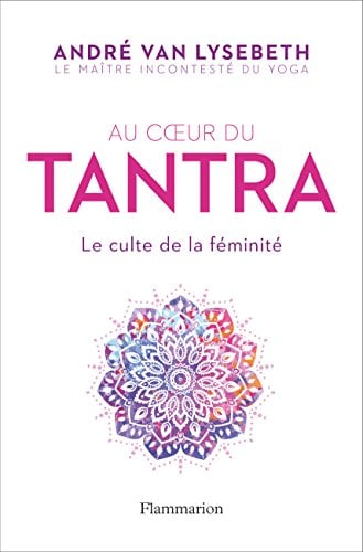 Au cœur du Tantra. Le culte de la féminité - Cover