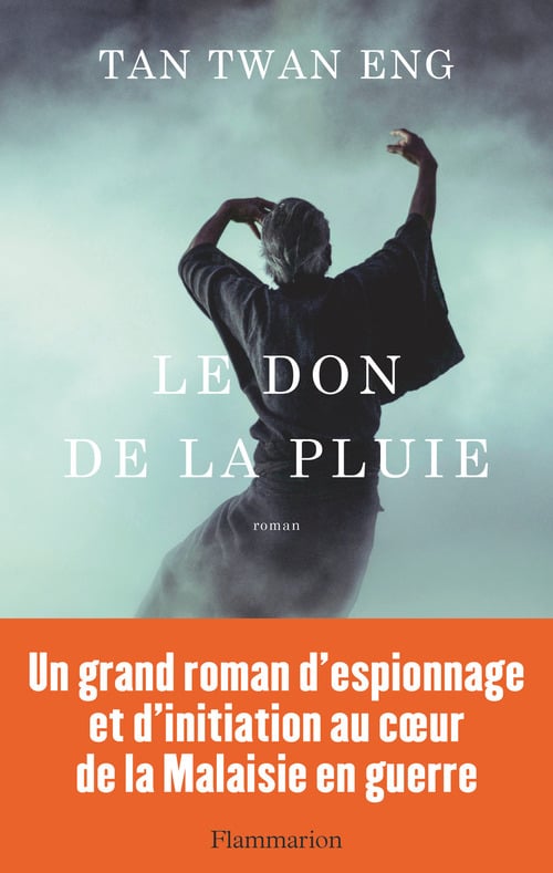 Le don de la pluie - Cover