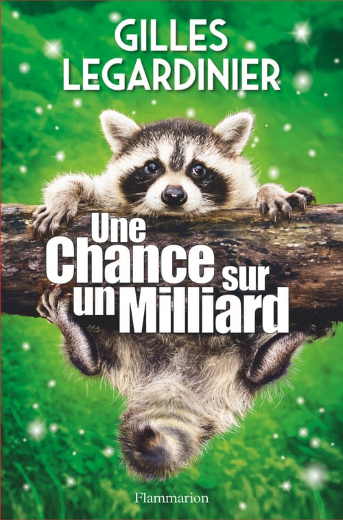 Une chance sur un milliard - Cover
