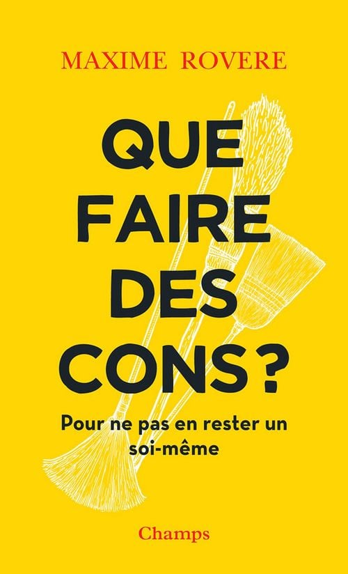 Que faire des cons ? Pour ne pas en rester un soi-même - Cover