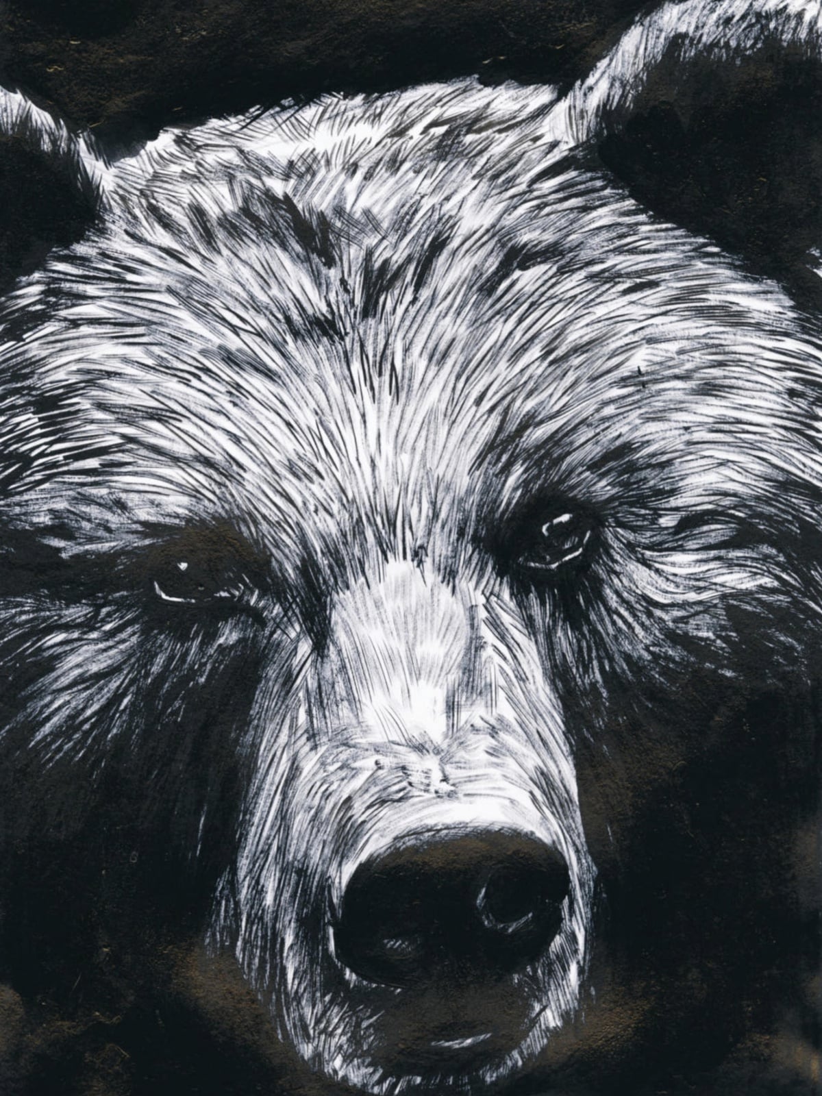 La Dernière Reine - édition luxe - Cover