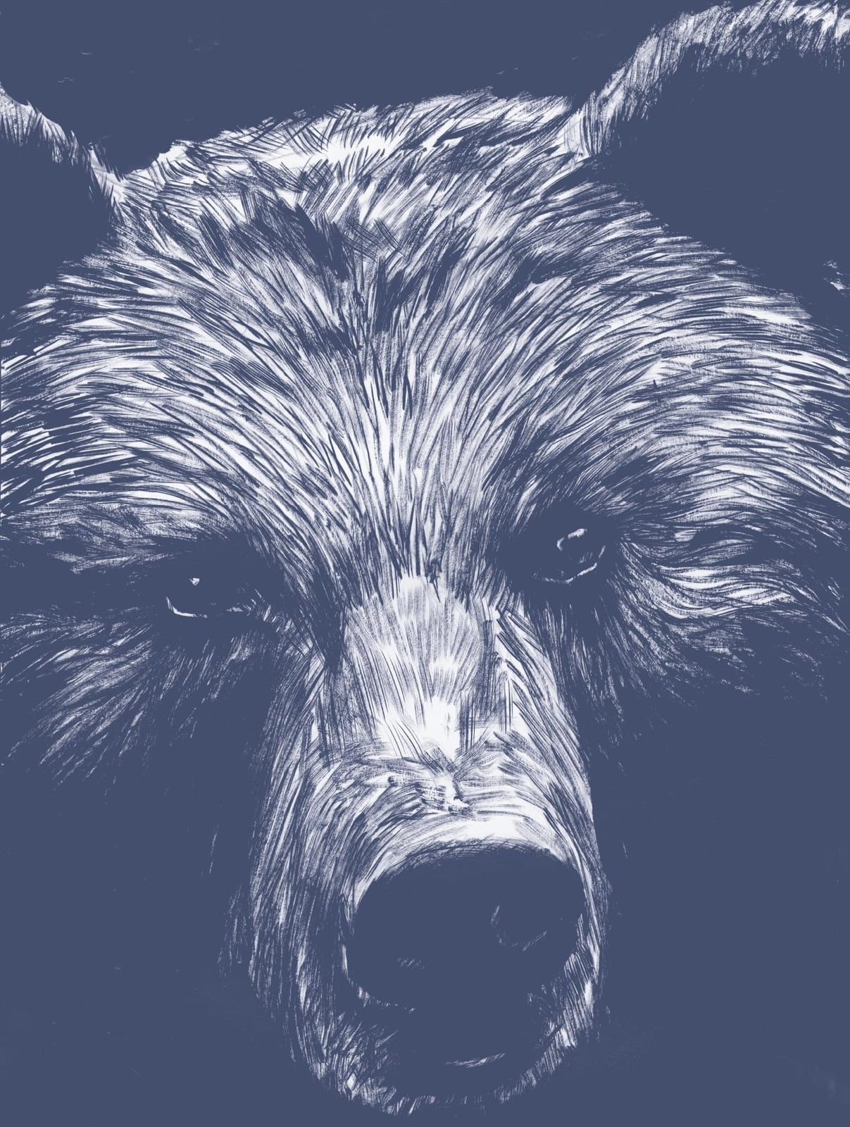 La Dernière Reine - Cover