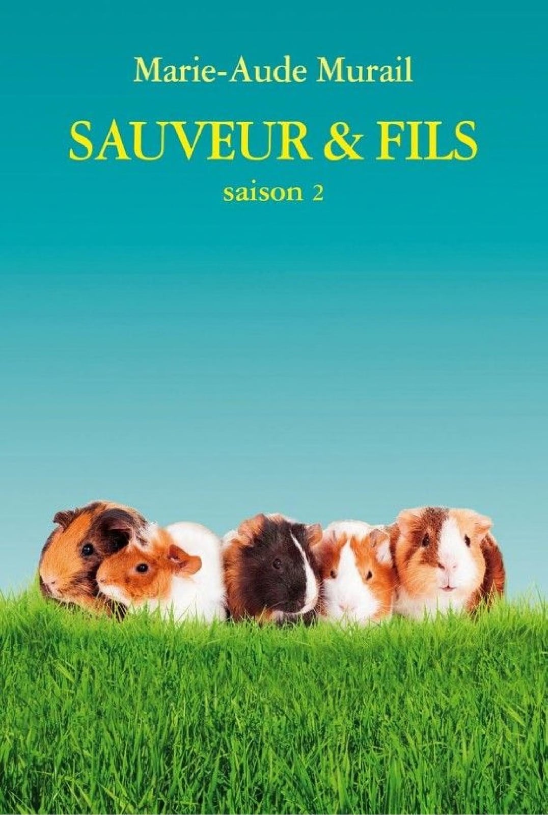Sauveur & Fils saison 2 - Cover