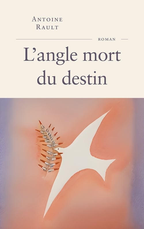 L'angle mort du destin - Cover