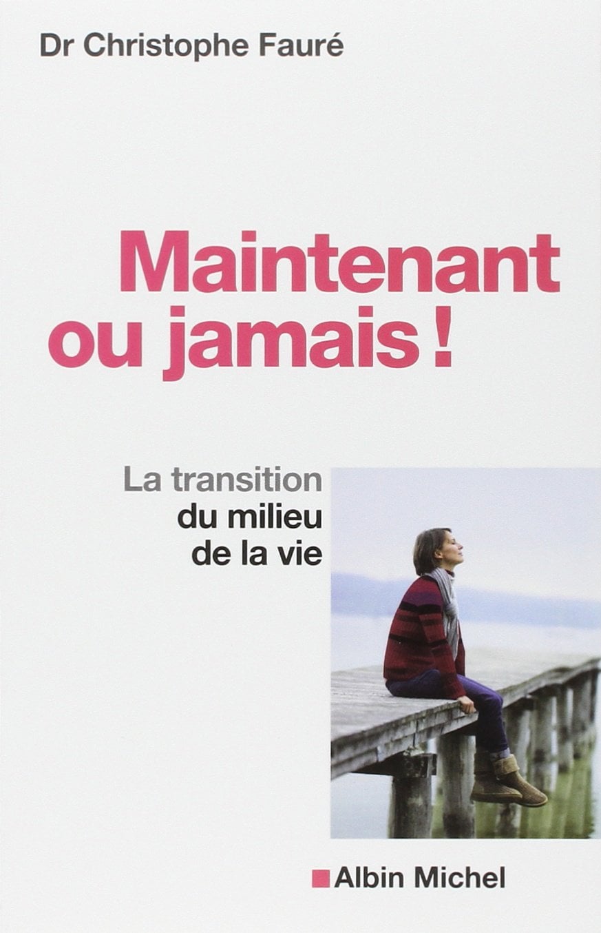 Maintenant ou jamais ! - Cover