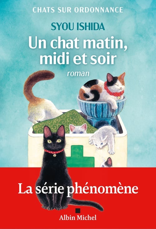 Un chat matin, midi et soir - Cover