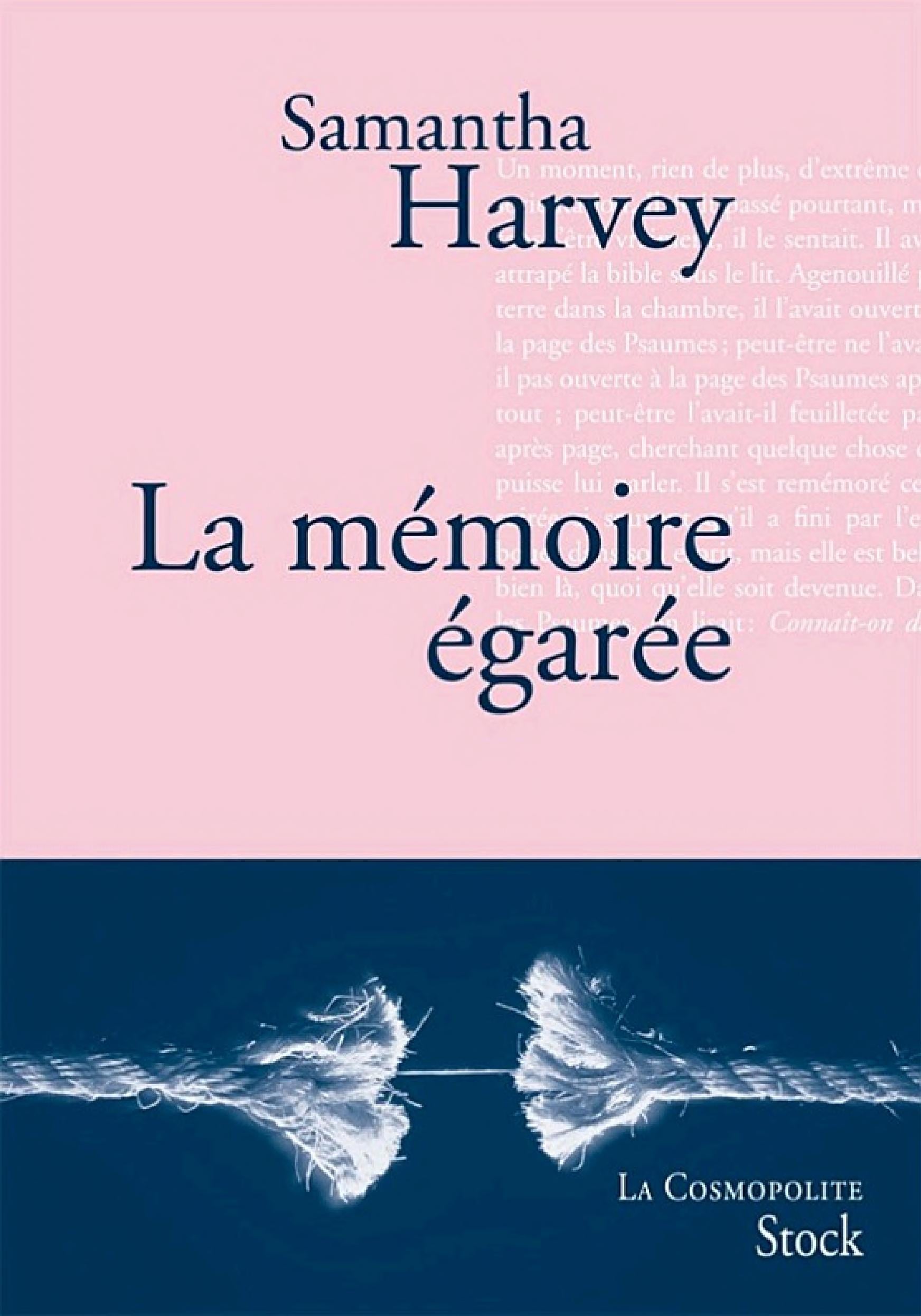 La mémoire égarée - Cover