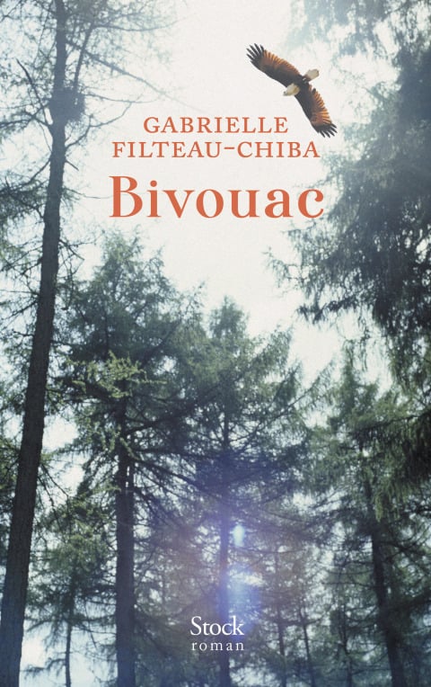 Bivouac - Cover