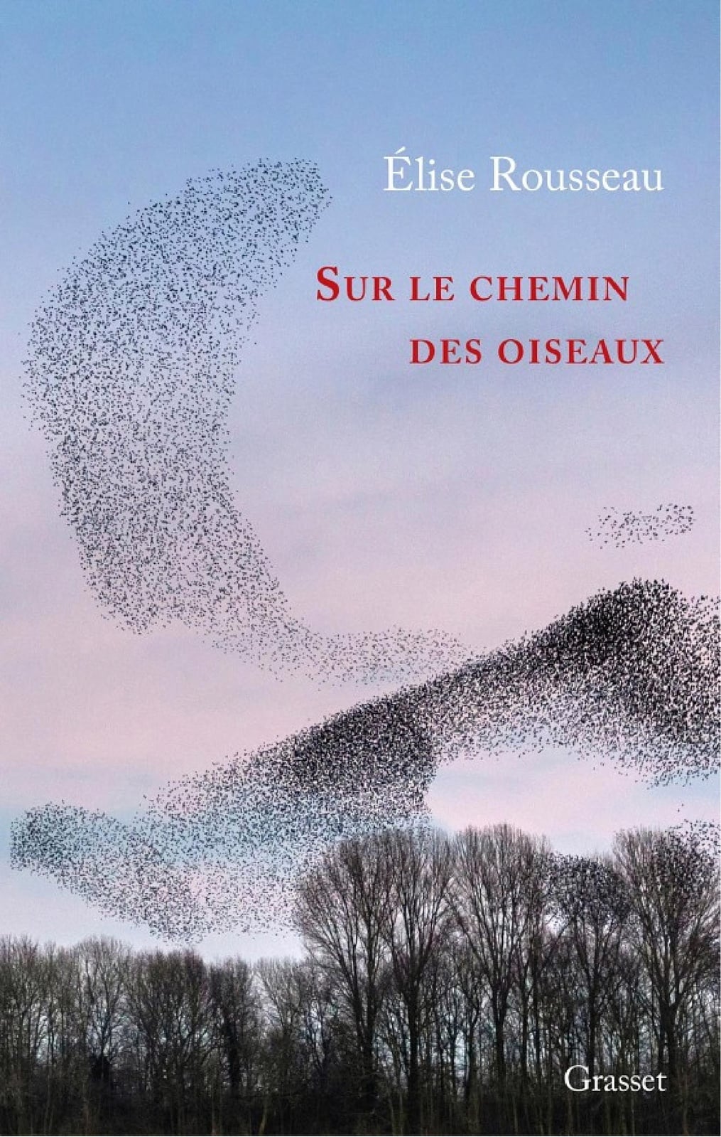 Sur le chemin des oiseaux - Cover
