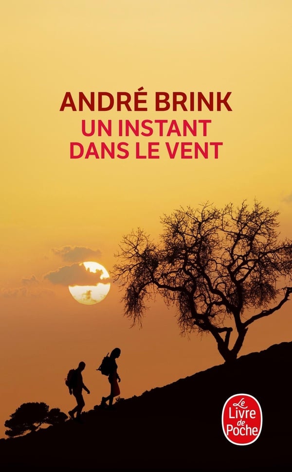 Un instant dans le vent - Cover