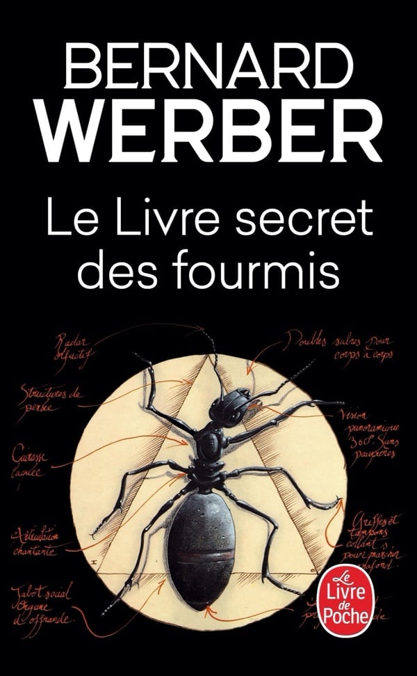Le livre secret des fourmis - Cover