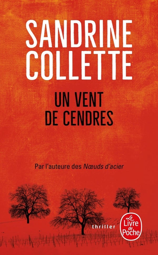 Un vent de cendres - Cover