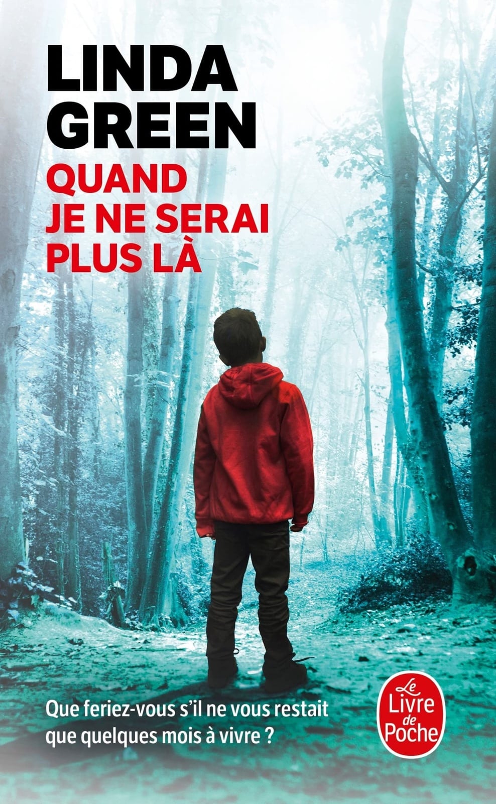 Quand je ne serai plus là - Cover