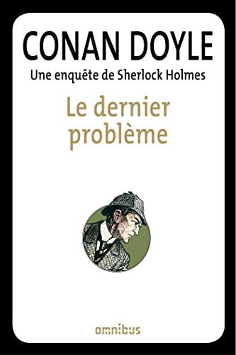 Le dernier problème - Cover