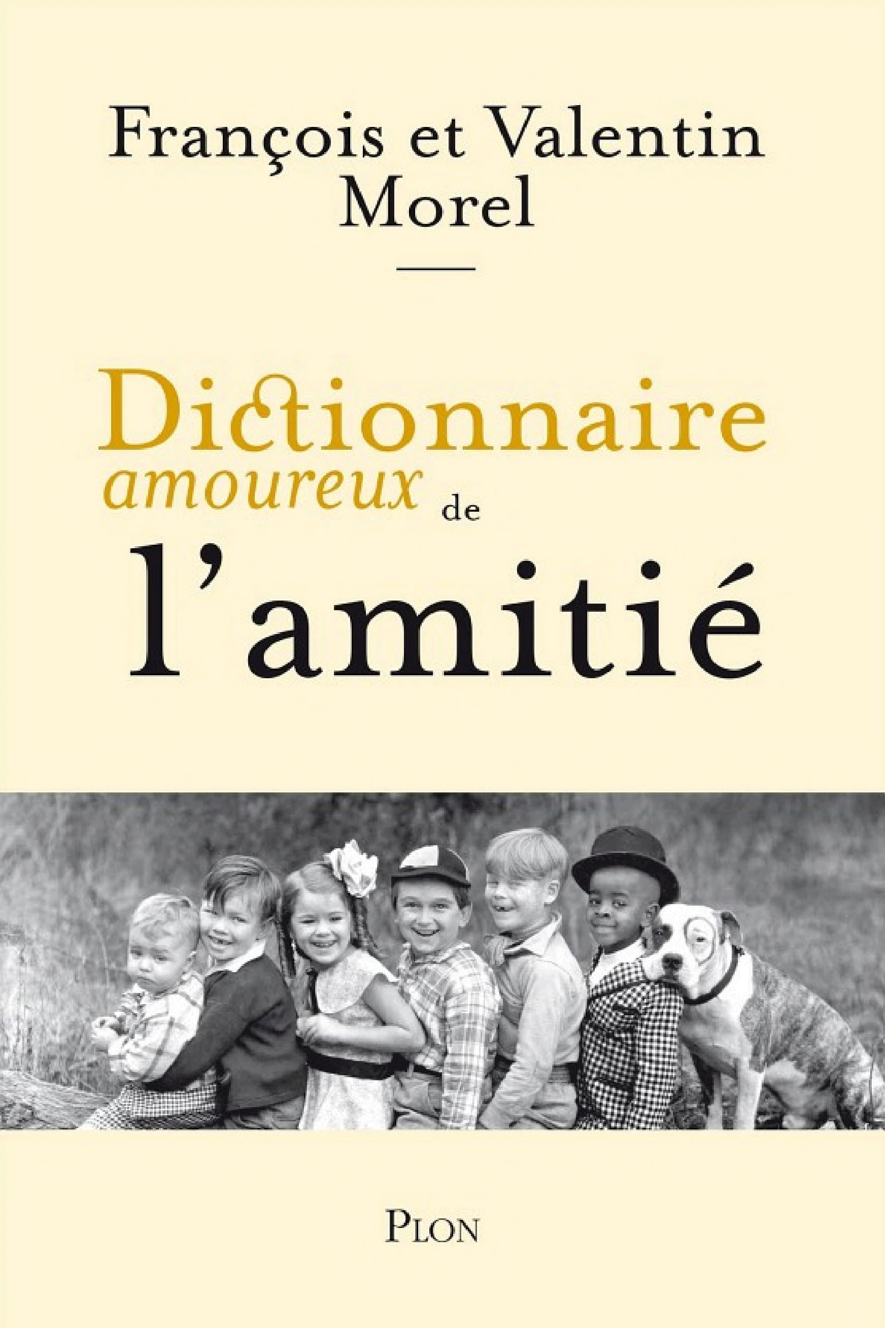 Dictionnaire amoureux de l'Amitié - Cover