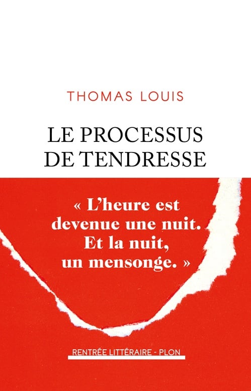 Le Processus de tendresse - Rentrée littéraire 2024 - Cover