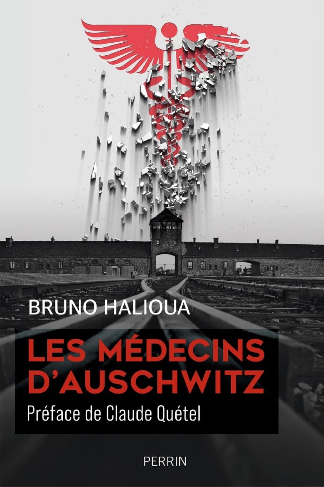 Les Médecins d'Auschwitz - Cover