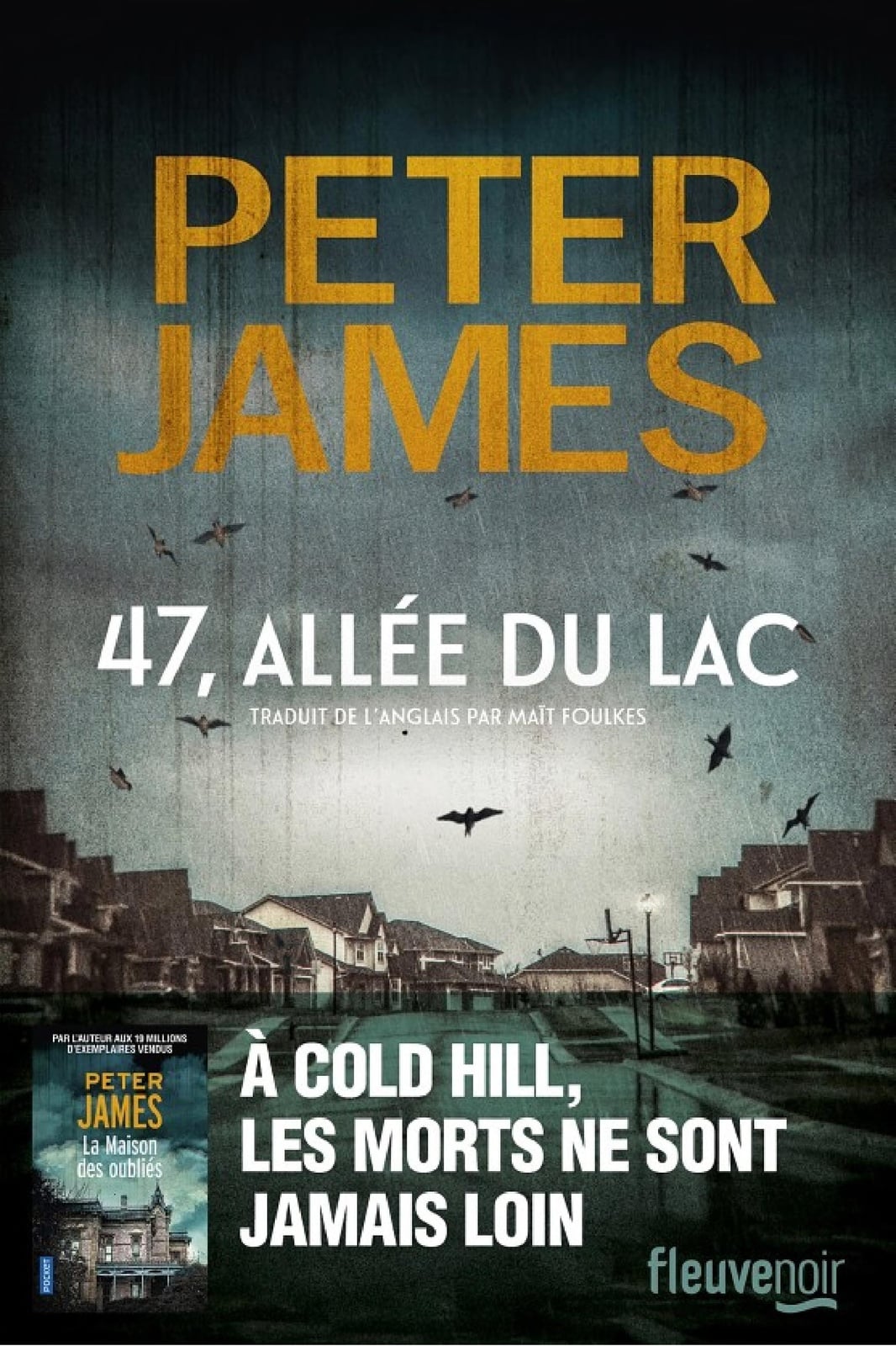 47, allée du lac - Cover
