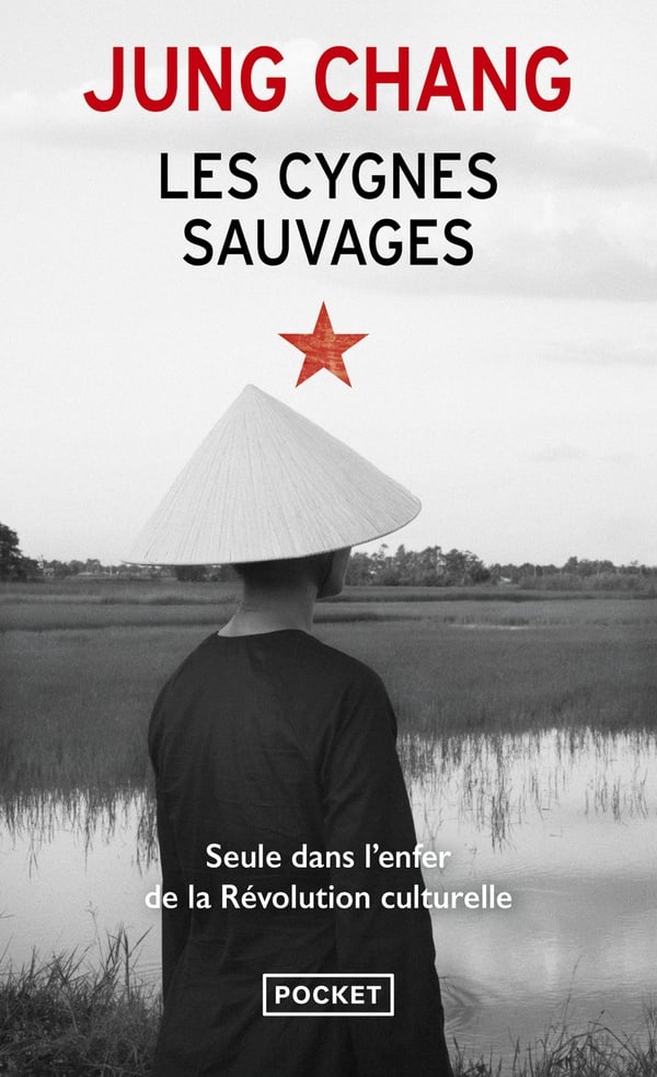 Les cygnes sauvages - Cover