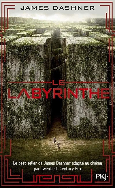 Le labyrinthe - Cover