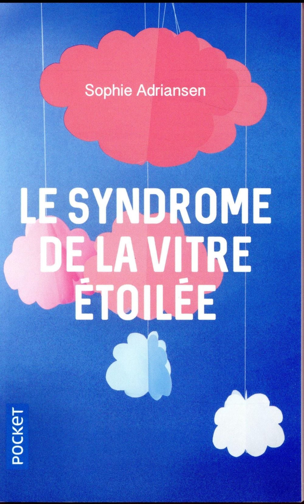 Le syndrome de la vitre étoilée - Cover