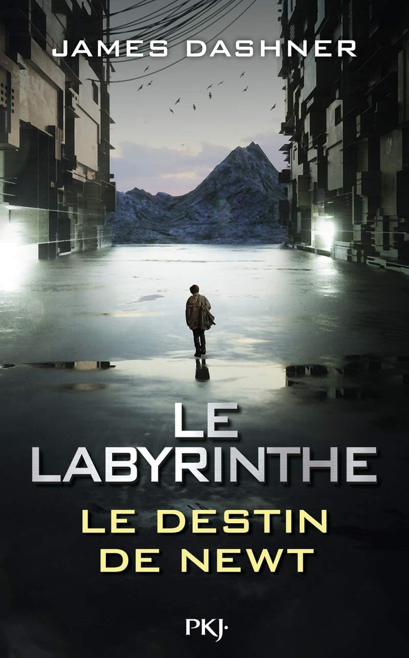 Le Labyrinthe - Cover