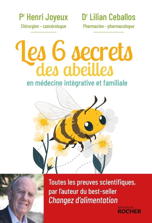 Les 6 secrets des abeilles - Cover