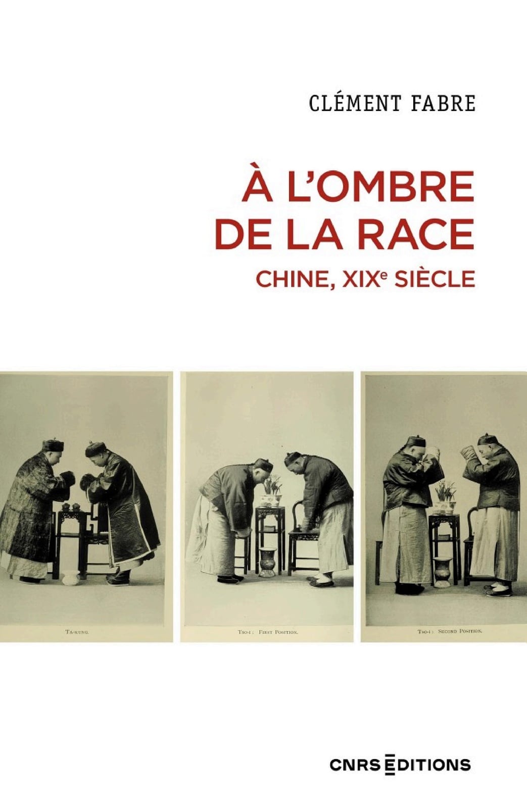 A l'ombre de la race. Chine, XIXe siècle (Histoire) - Cover