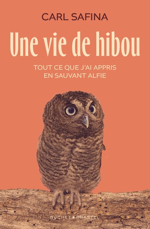 Une vie de hibou. Tout ce que j'ai appris en sauvant Alfie - Cover