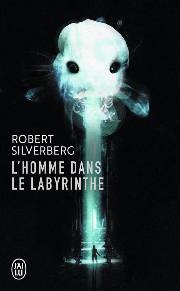 L'homme dans le labyrinthe - Cover