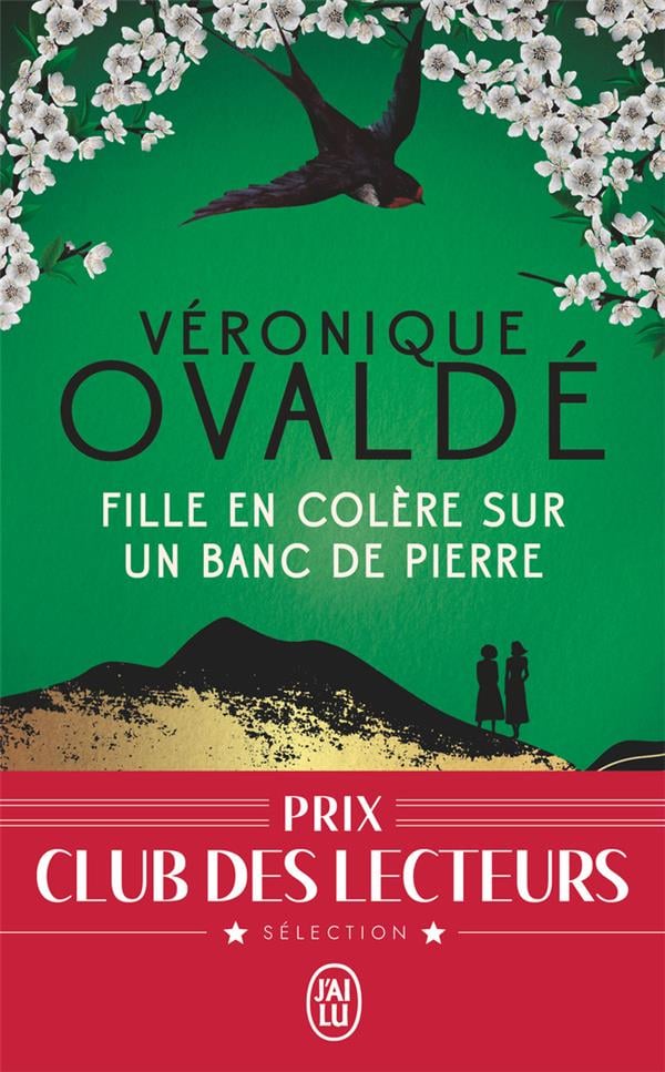 Fille en colère sur un banc de pierre - Cover