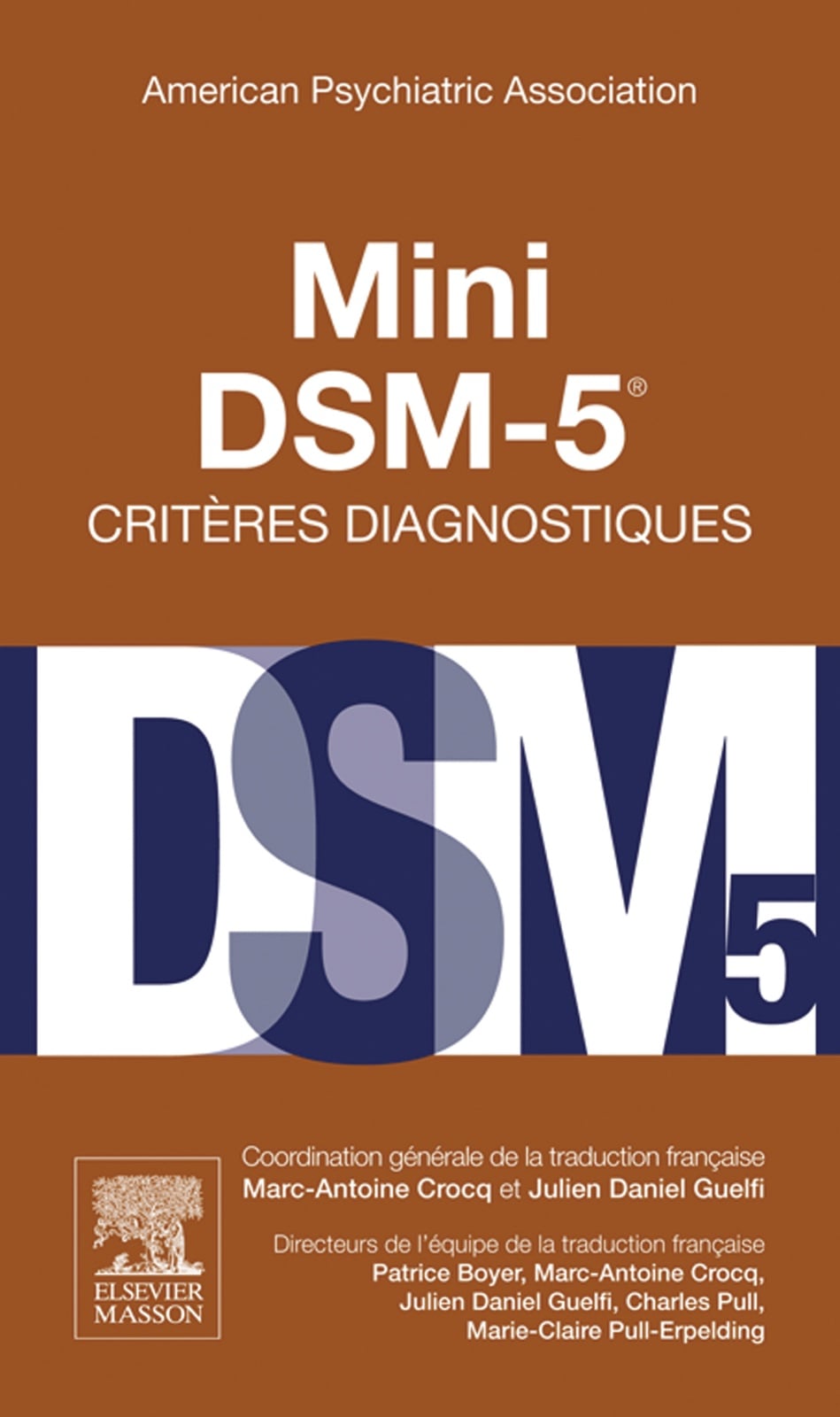 Mini DSM-5 Critères Diagnostiques - Cover