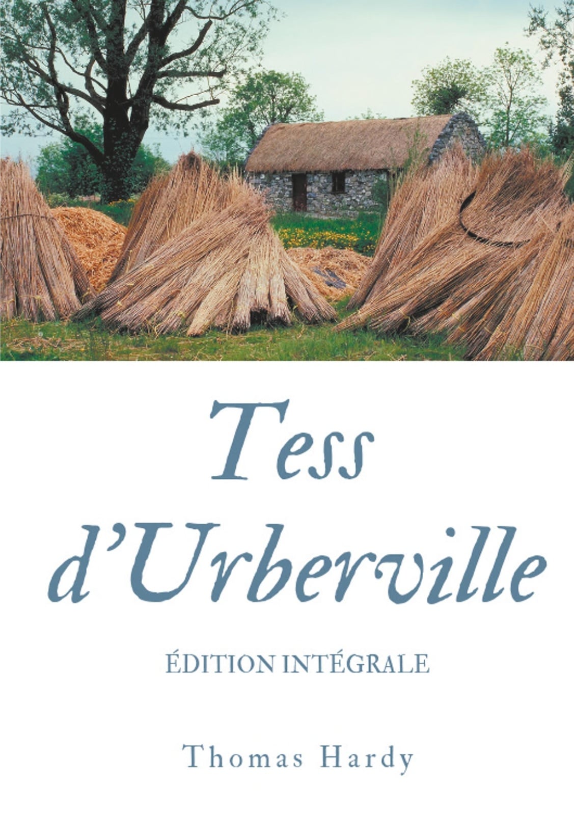 Tess d'Urberville - Cover
