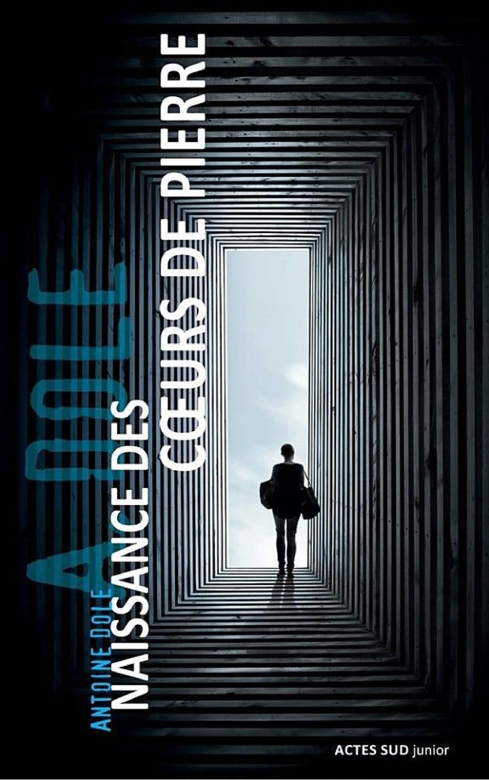 Naissance des coeurs de pierre - Cover