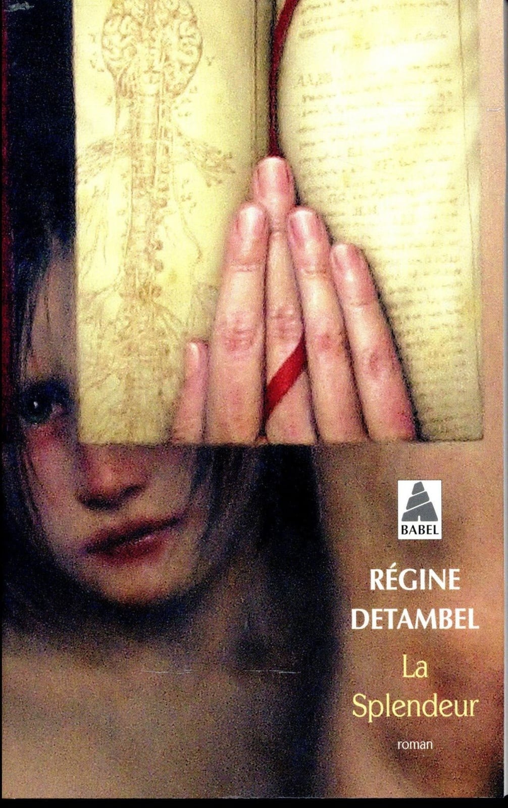 La splendeur - Cover