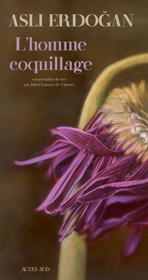 L'Homme Coquillage - Cover