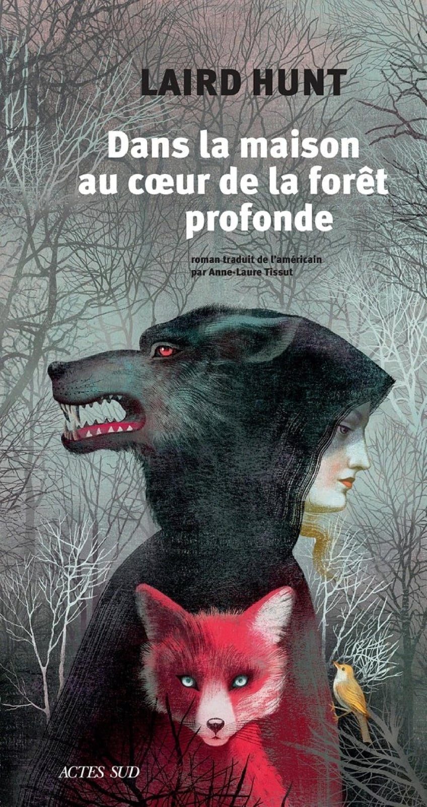 Dans la maison au coeur de la forêt profonde - Cover