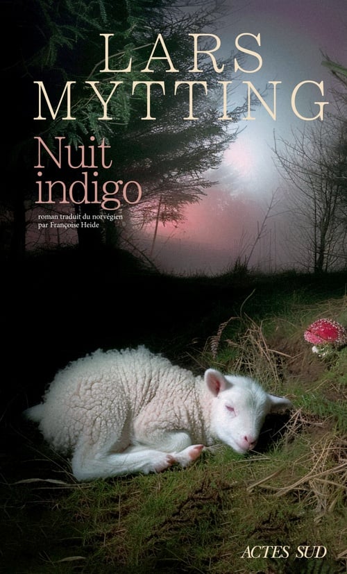 Nuit indigo - Cover