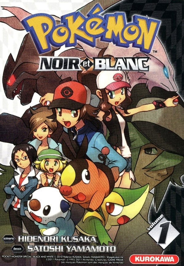 Pokémon noir et blanc - Cover