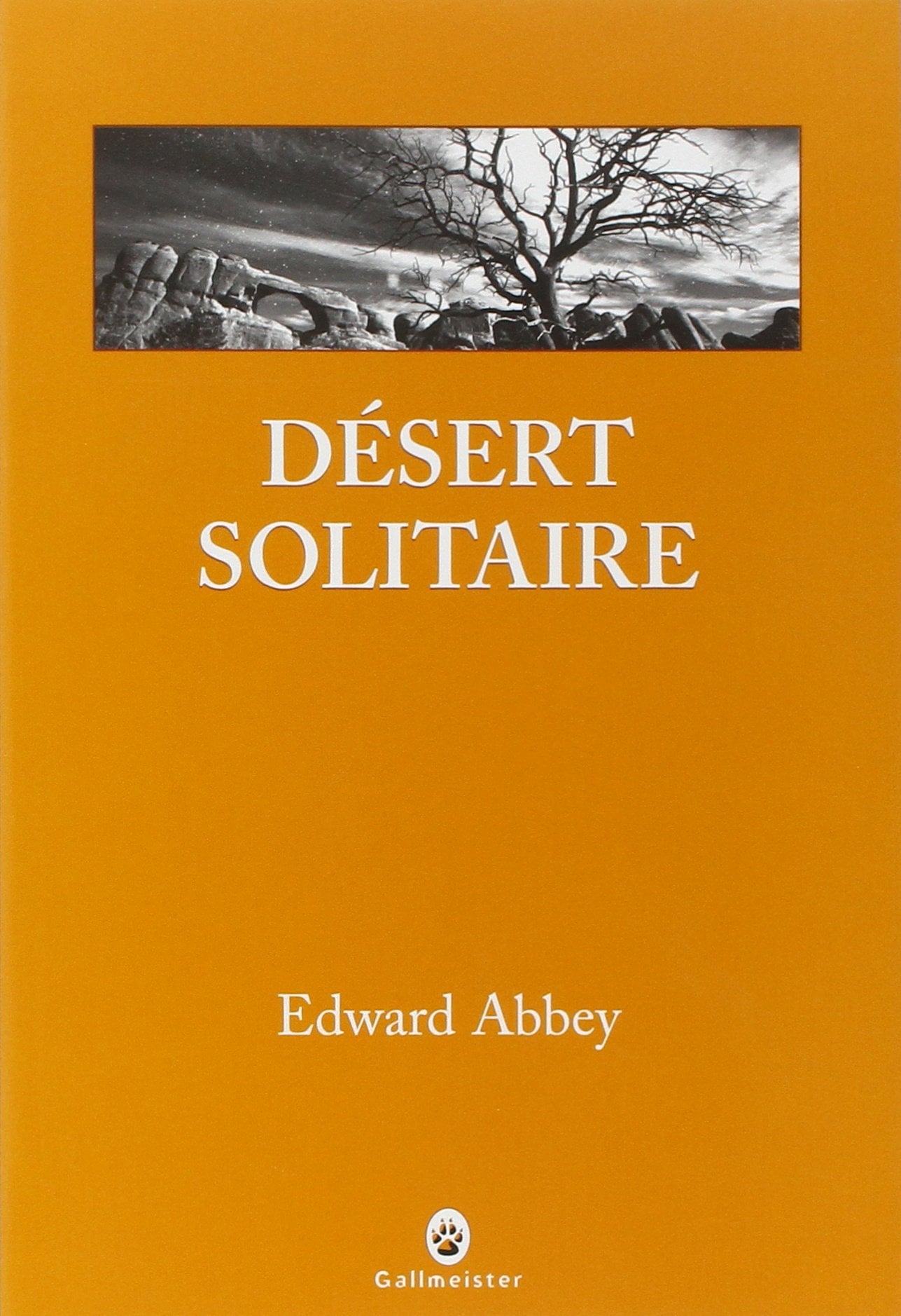 Désert solitaire - Cover