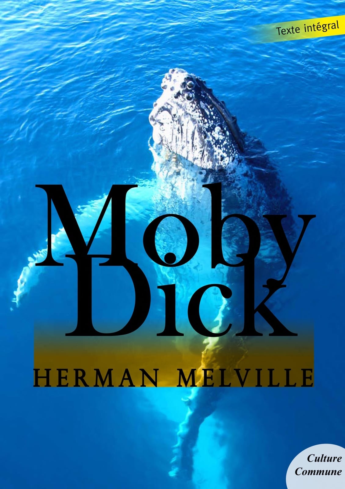 Moby Dick - Cover