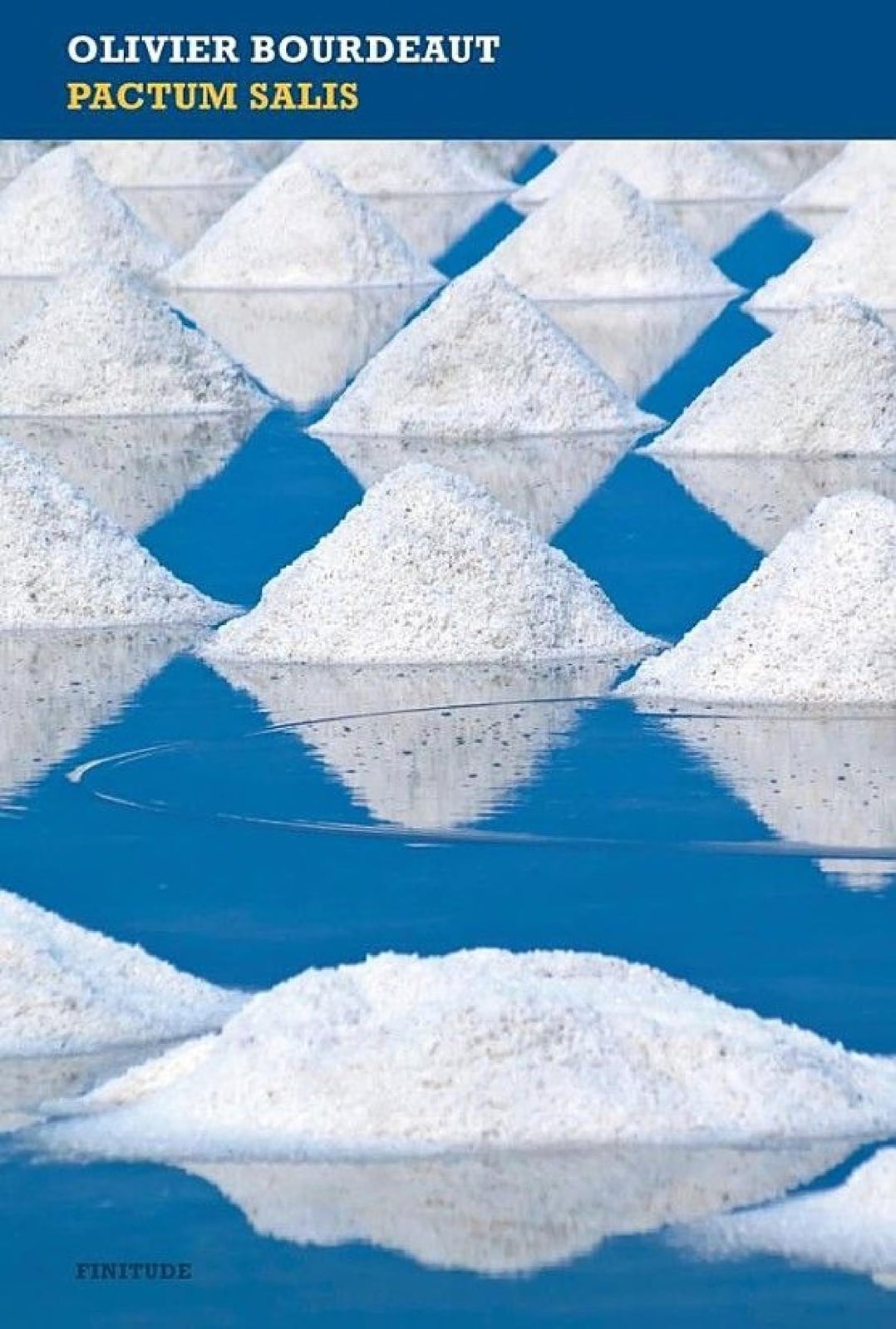 Pactum salis - Cover