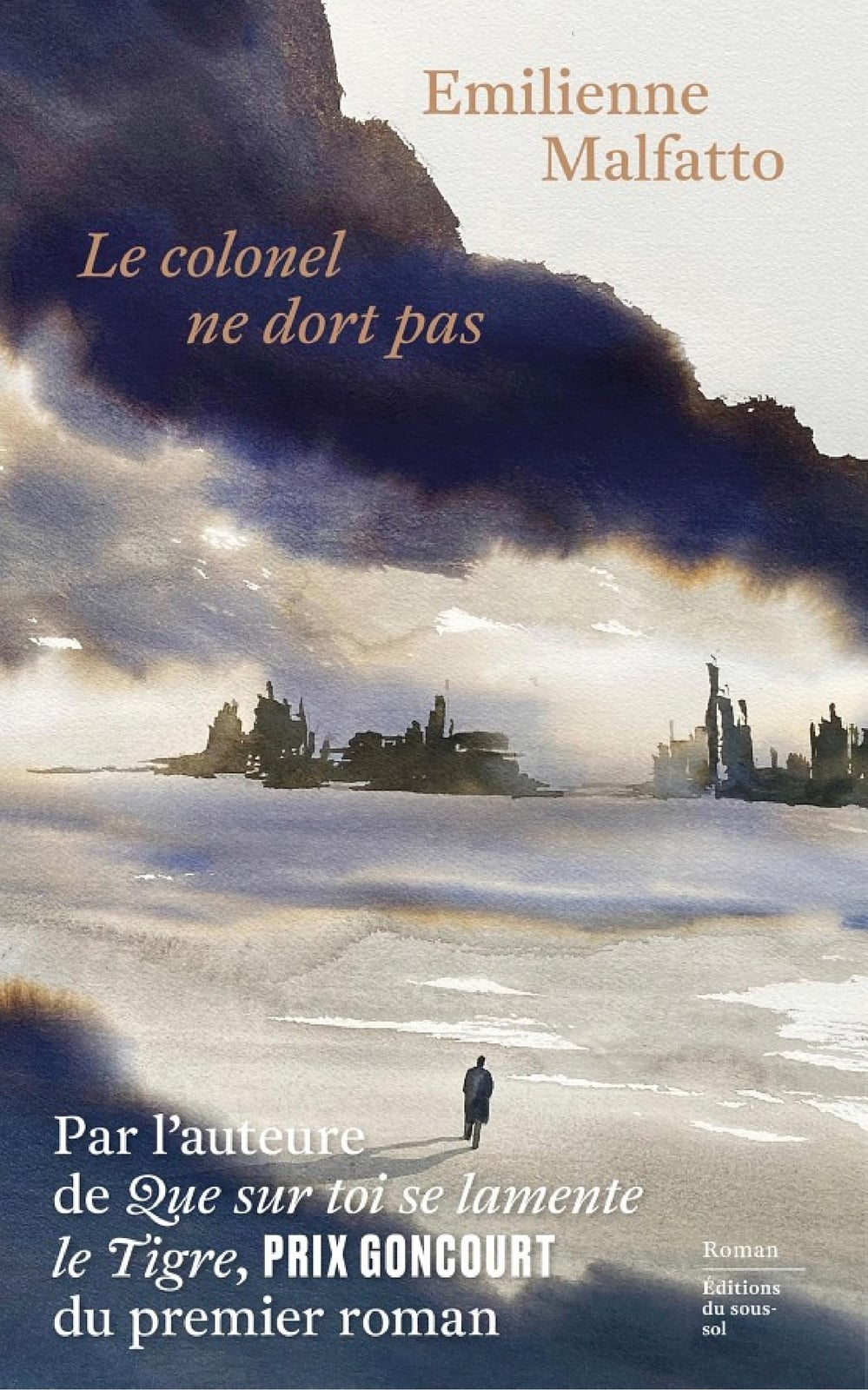 Le colonel ne dort pas - Cover