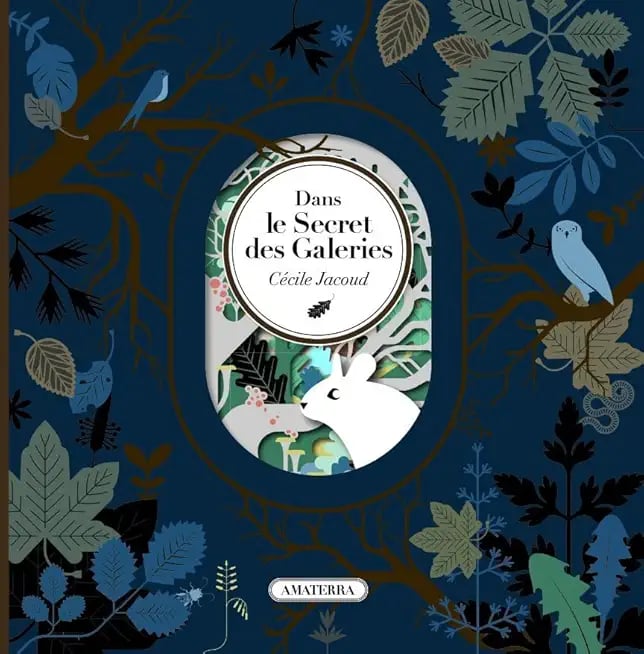 Dans le Secret des Galeries - Cover